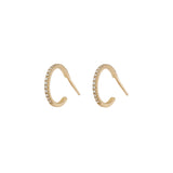 Small Diamond Earrings Hoops